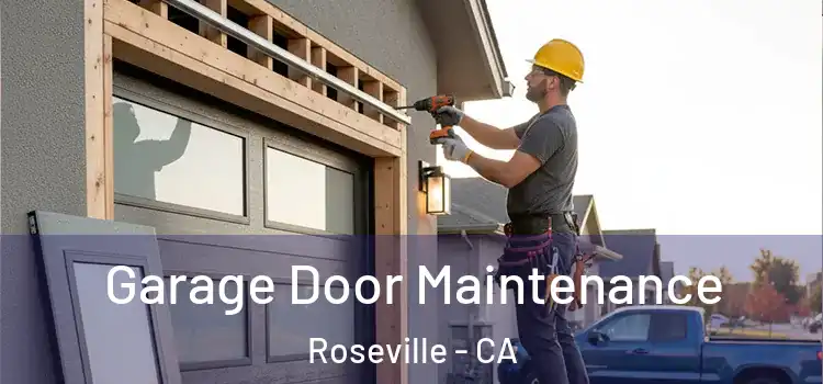 Garage Door Maintenance Roseville - CA